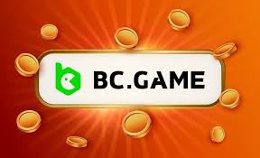 Understanding BC.Game Know Your Customer Verification