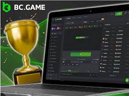 Understanding BC.Game Know Your Customer Verification
