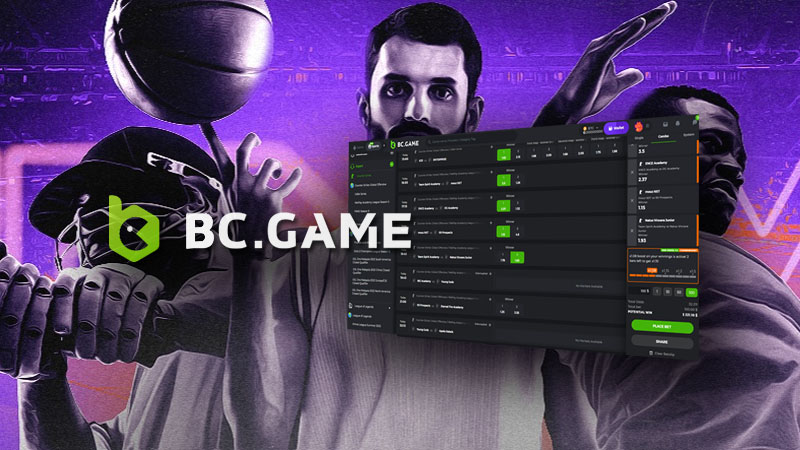 Unlock the Benefits of BCStavka Your Guide to Referral Codes