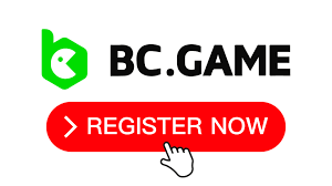 Unlock the Benefits of BCStavka Your Guide to Referral Codes