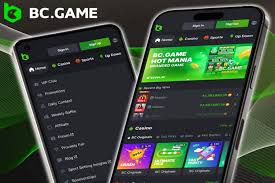 Exploring BC Game Crypto Casino A Leading Destination for Online Gaming