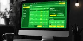 The Complete Guide to the BetWinner Mobile App