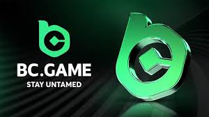 Understanding BC Game Terms & Conditions A Comprehensive Guide -2126786590