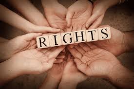 The Role of a Human Rights Law Firm in Protecting Civil Liberties